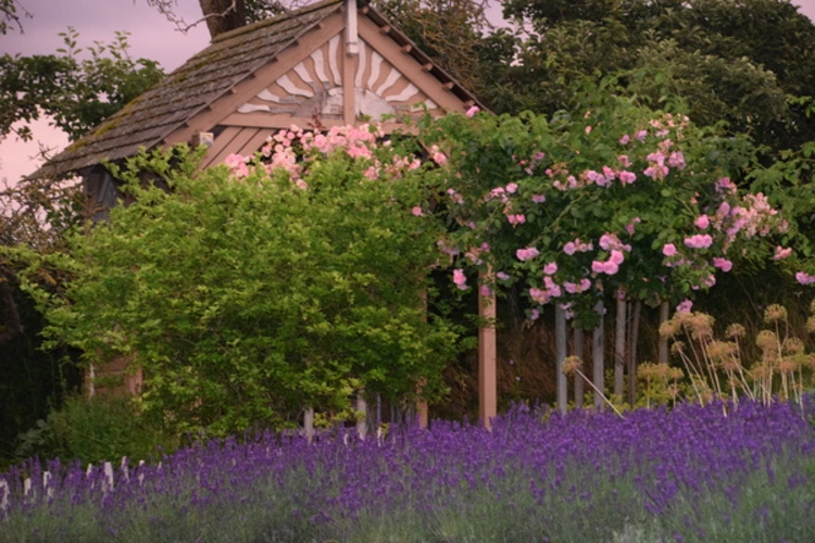 Englische Gartenlaube
