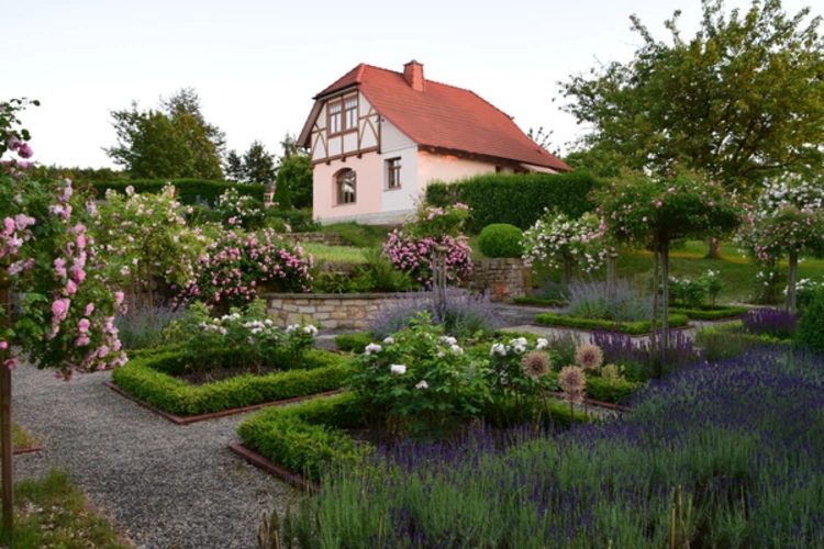 Gartenanlage Rosenblüte Juni