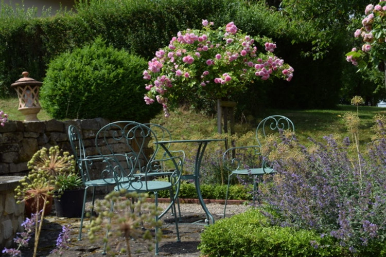 Garten Villa Taubenberg Rosenblüte Juni