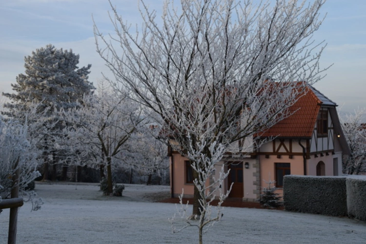 Villa Taubenberg Januar/Februar