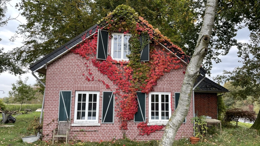 Herbstlaub