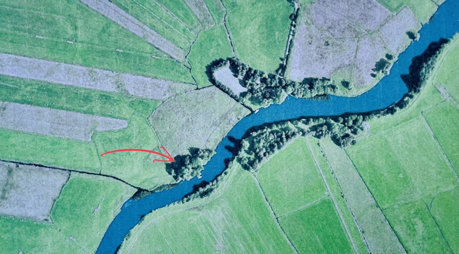 …dort unter den 35 Bäumen