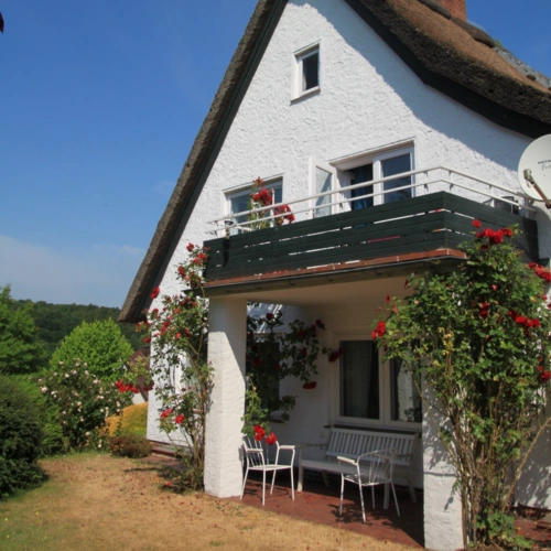 Südterrasse