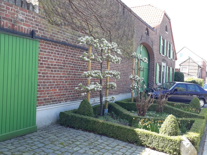 Straßenseite mit vorderem Bauerngarten und Garagentor
