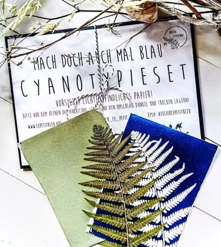 DIY-Set Cyanotypie Solardruck Sonnendruck