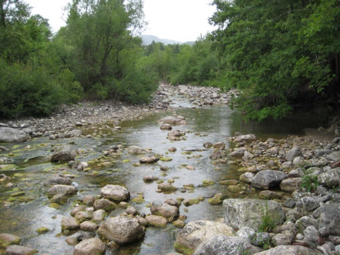 Fluss