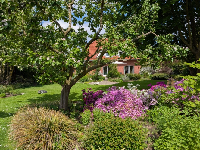Gartenimpressionen 