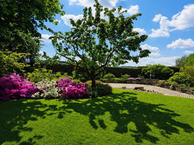 Gartenimpressionen 