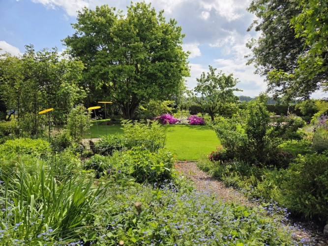 Gartenimpressionen 