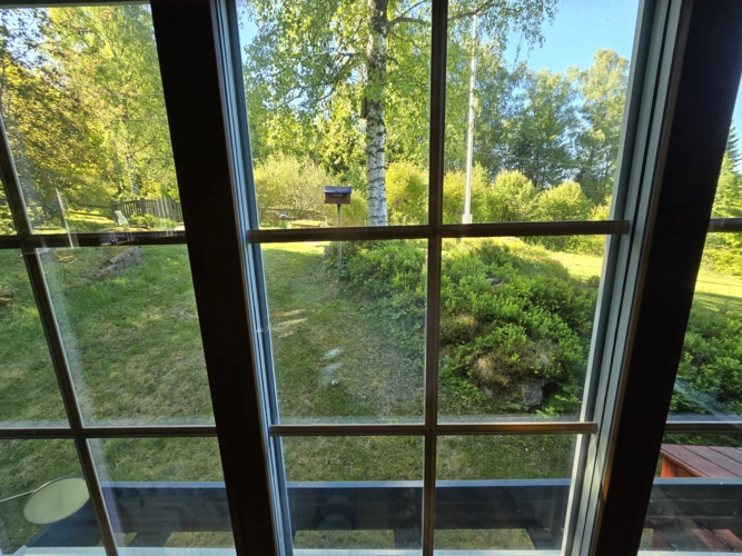 Blick in den Garten nach Süden 