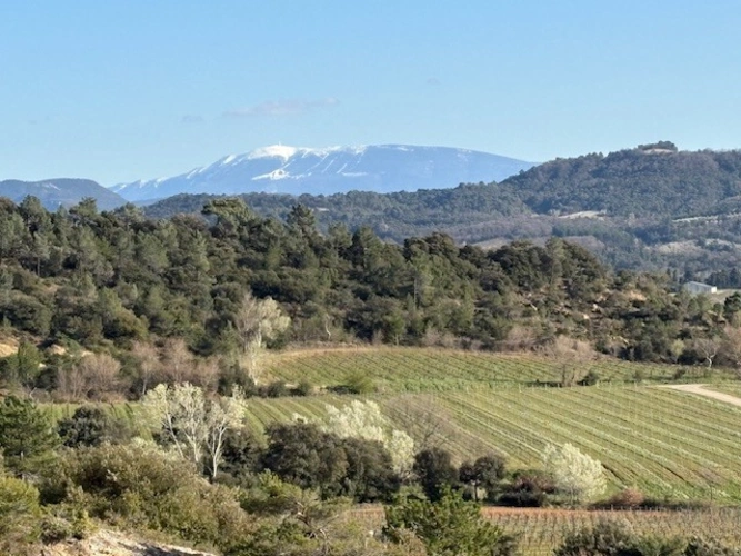 Blick auf den Mont Ventoux