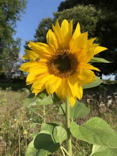 Auszeit inmitten der Natur