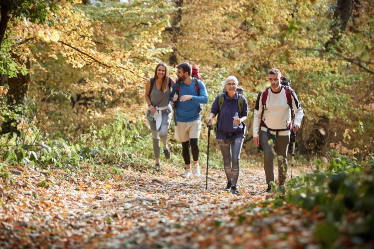 In Gemeinschaft Fasten und Wandern