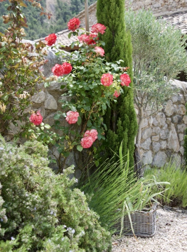 im Rosengarten
