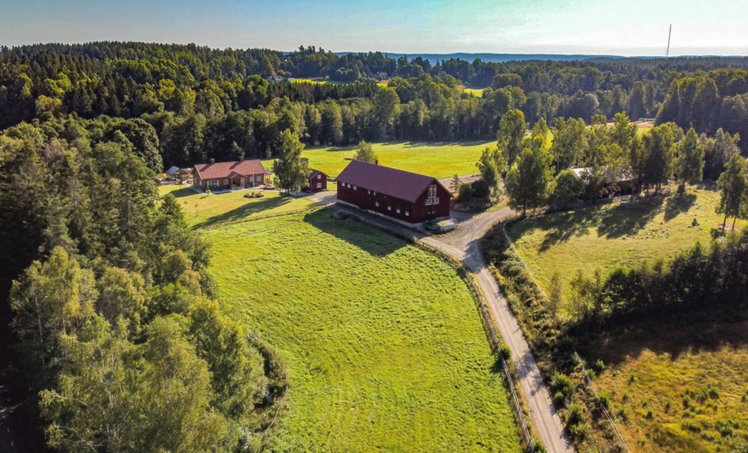 Wiesen, Wald und die Umgebung des Hofes