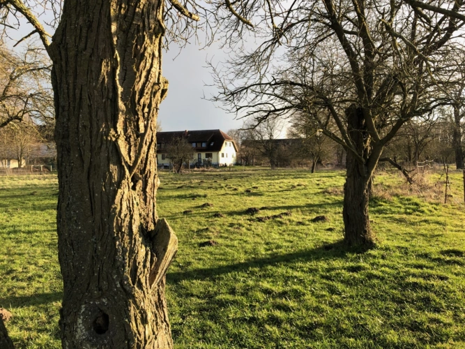 Blick vom Ende der Obstwiese auf das zum Haus gehörige Grundstück